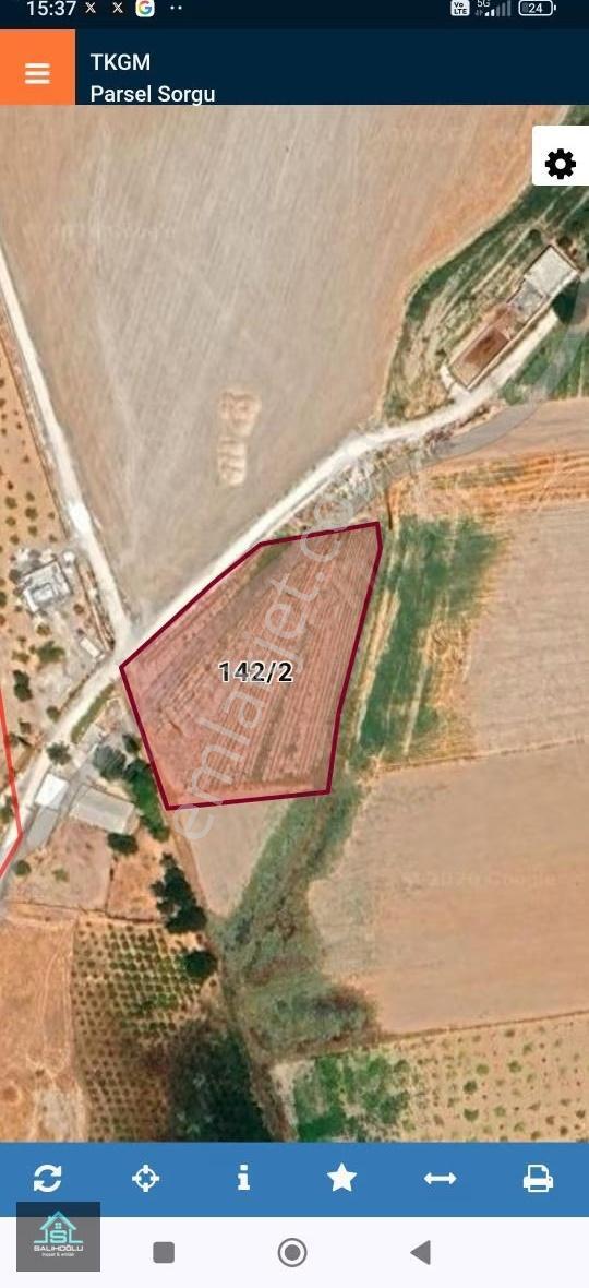 Satılık Zeytinlik