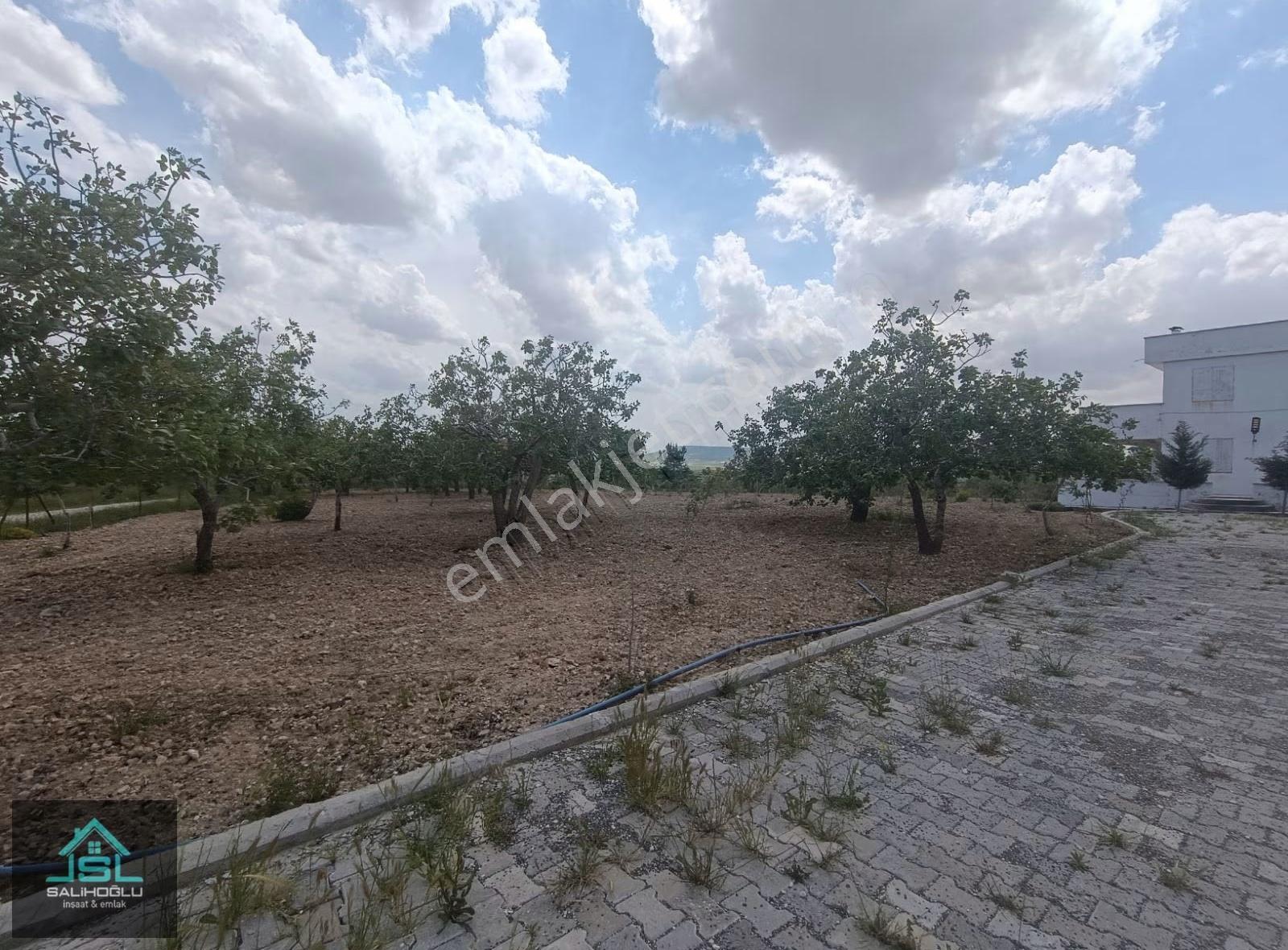 Satılık Fıstıklık Ve Bağ Evi - Görsel 20