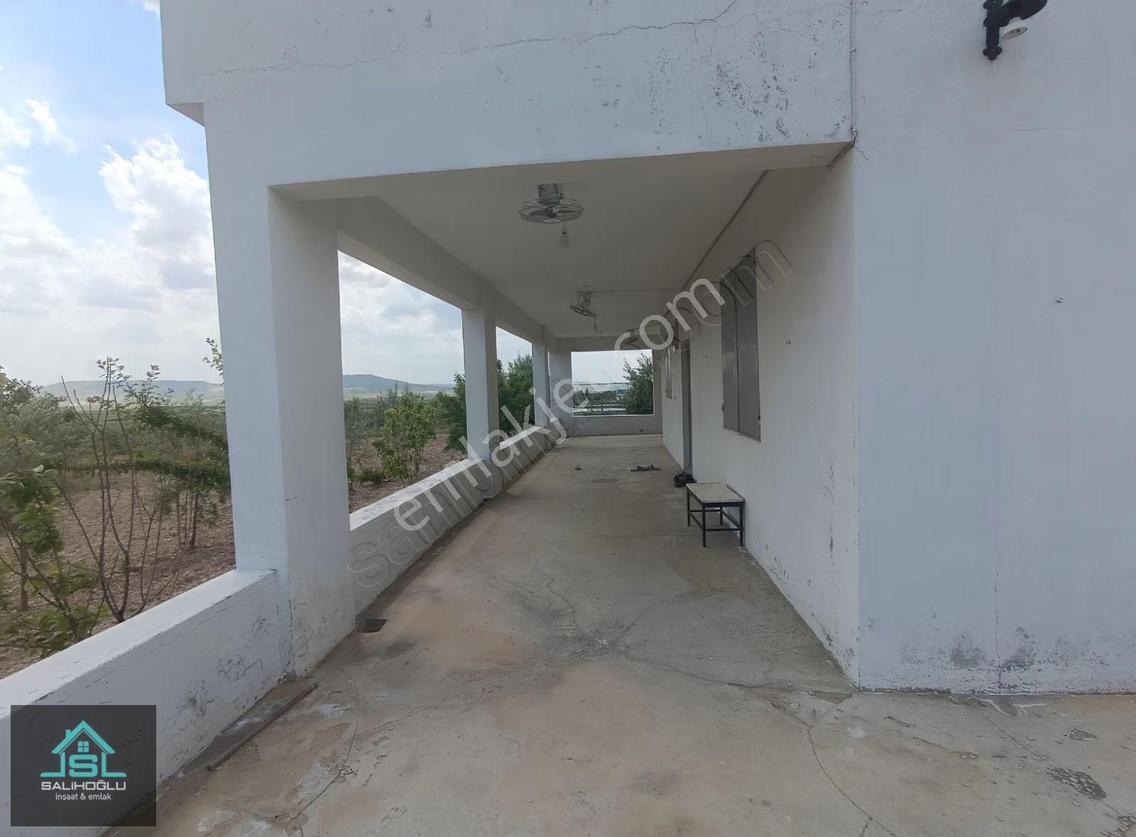 Satılık Fıstıklık Ve Bağ Evi - Görsel 4