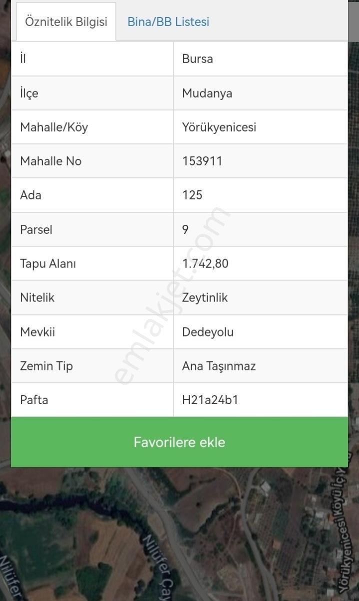 Selçuklu'dan Yörükyenicesi'de Yerleşime Yakın Fırsat Zeytinlik