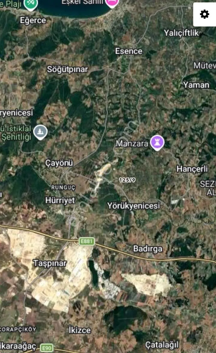Selçuklu'dan Yörükyenicesi'de Yerleşime Yakın Fırsat Zeytinlik - Görsel 2
