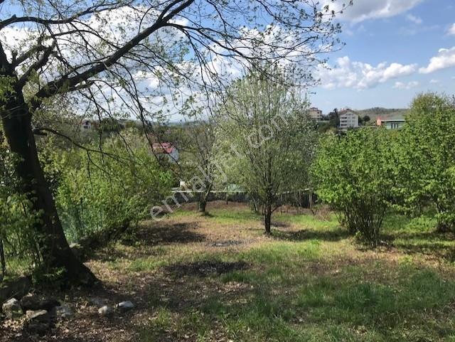 Beykoz Elmalı'da Villa İmarlı 1.326 M2 Müstakil Tapulu Arsa - Görsel 4