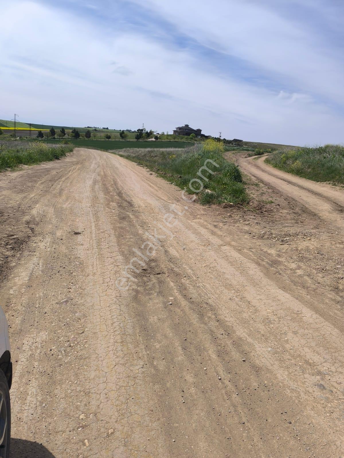 Tekirdağ Marmaraereğlisi Çeşmelide 254,1 Ada Parselde Yerimiz