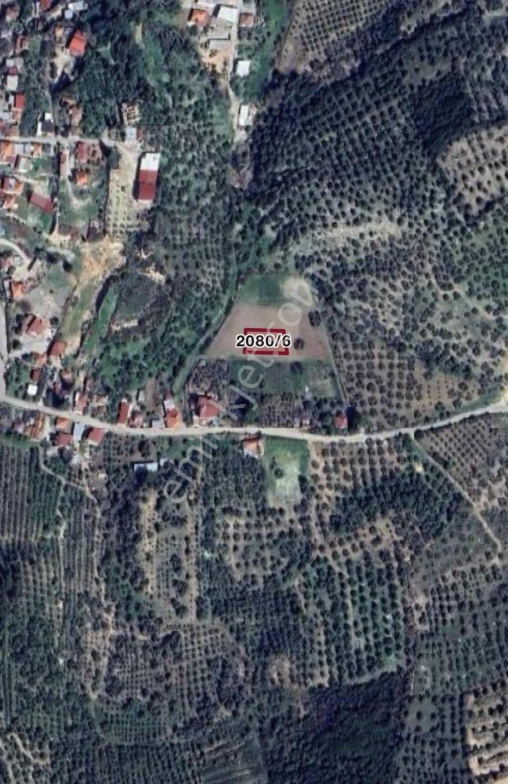 Akyeniköy'de 30/60 İmarlı Satılık Arsa - Görsel 5