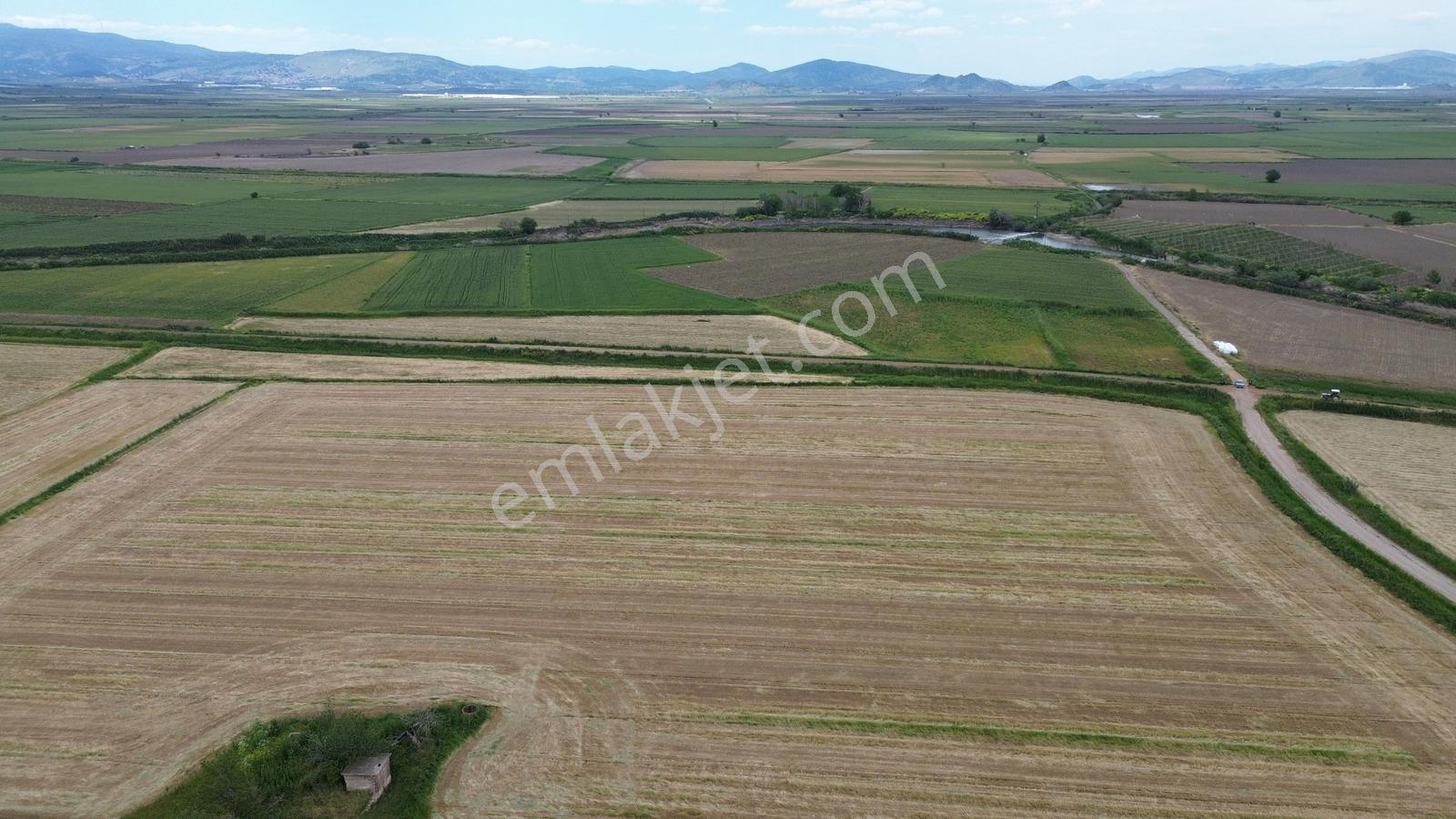 Zeytindağda Yatırımlık Satılık Verimli Tarla 15.400m2 - Görsel 12