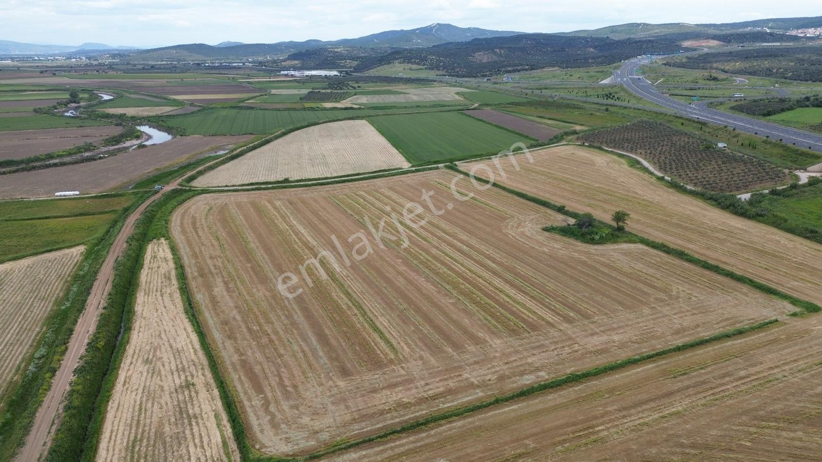 Zeytindağda Yatırımlık Satılık Verimli Tarla 15.400m2 - Görsel 9