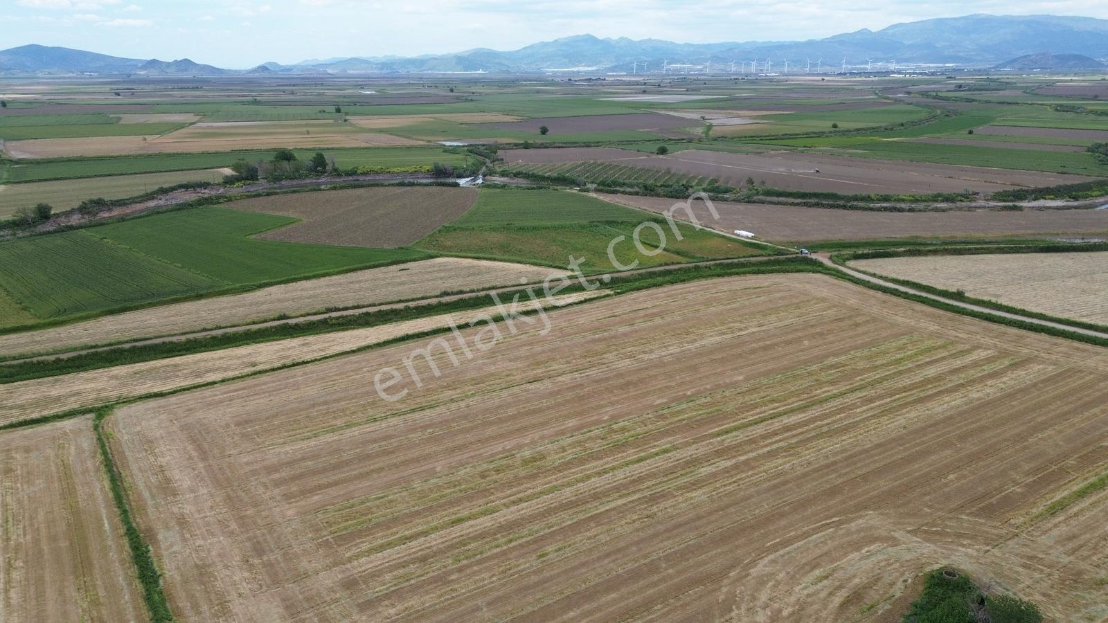 Zeytindağda Yatırımlık Satılık Verimli Tarla 15.400m2 - Görsel 2