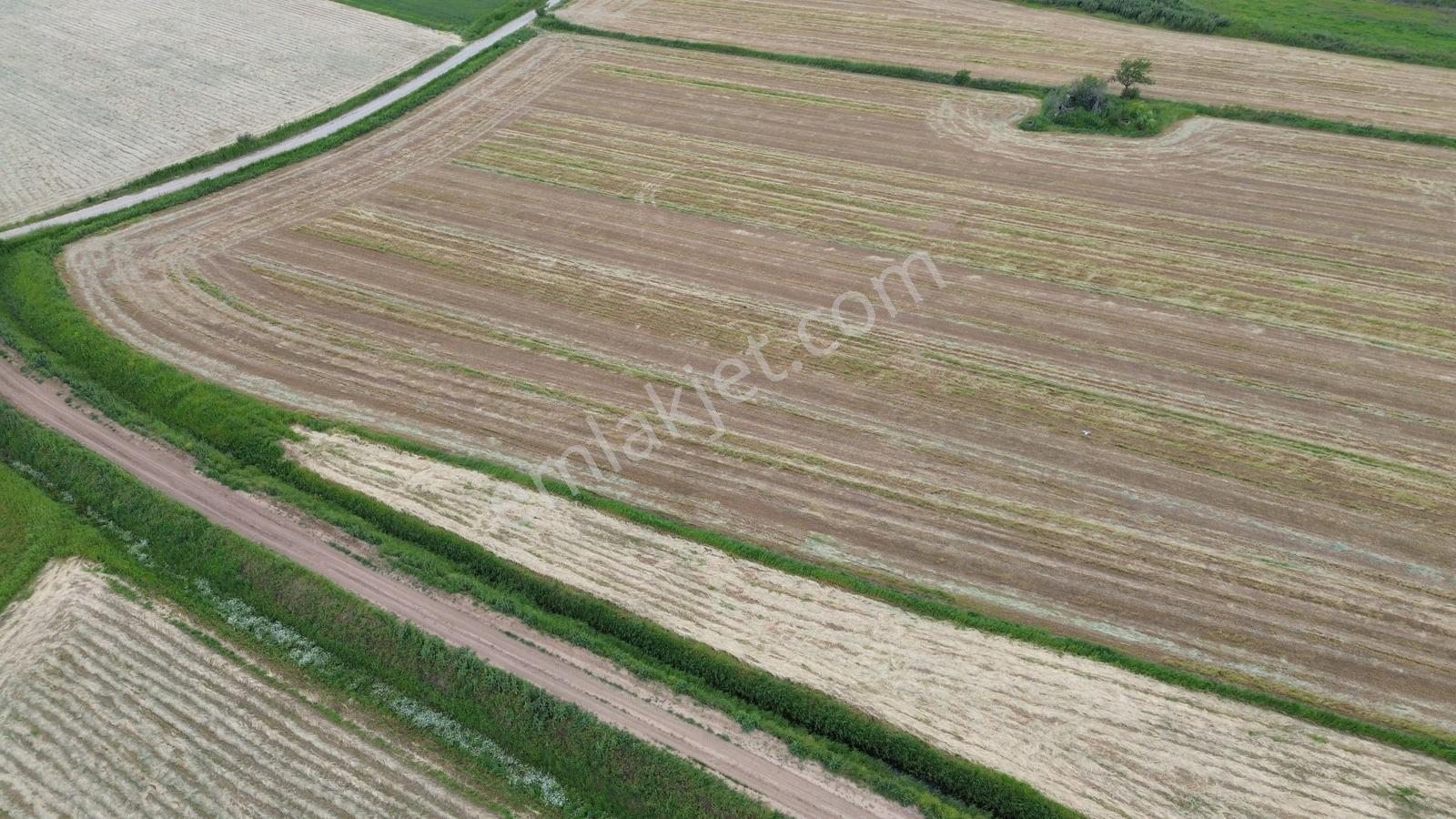 Zeytindağda Yatırımlık Satılık Verimli Tarla 15.400m2 - Görsel 6