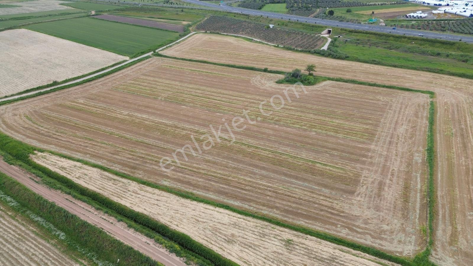 Zeytindağda Yatırımlık Satılık Verimli Tarla 15.400m2 - Görsel 7