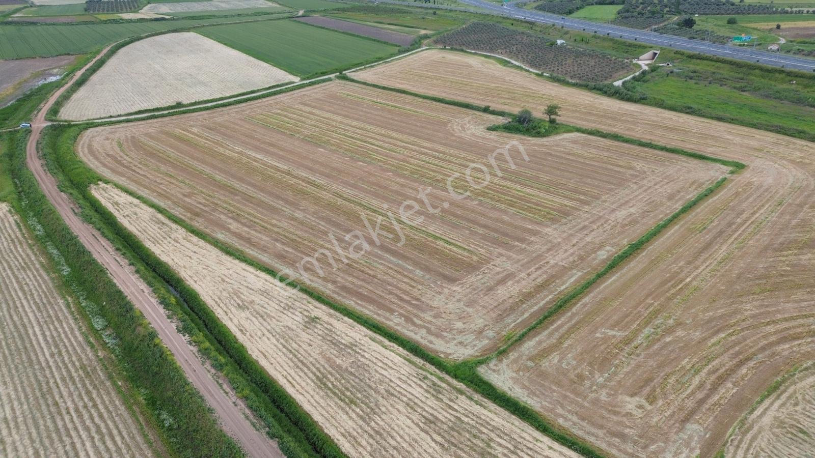 Zeytindağda Yatırımlık Satılık Verimli Tarla 15.400m2 - Görsel 8