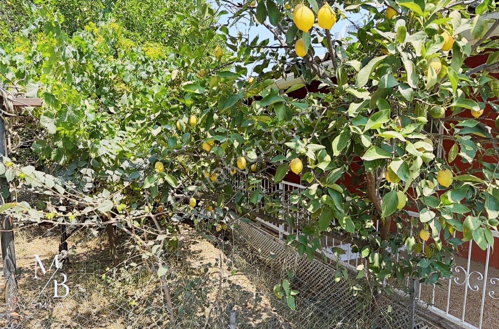Doğa Harikası Marmaris Çamlı'da İnanılmaz Fırsat - Görsel 23