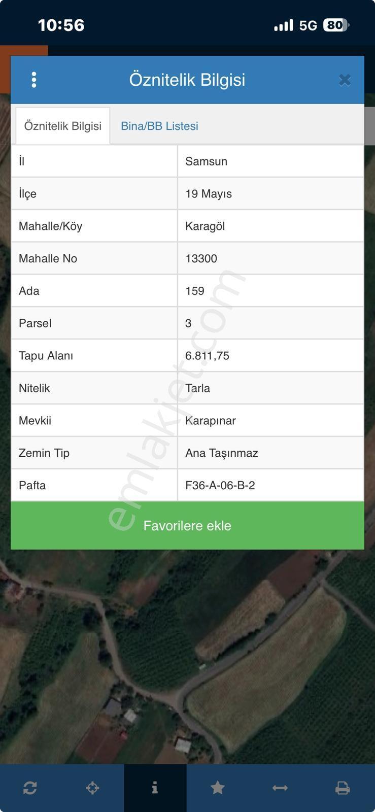 Çamlıcadan 19 Mayıs Karagölde 6810m2 Mantıklı Tarla - Görsel 10