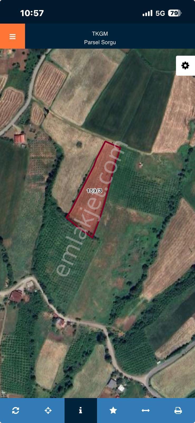 Çamlıcadan 19 Mayıs Karagölde 6810m2 Mantıklı Tarla - Görsel 12