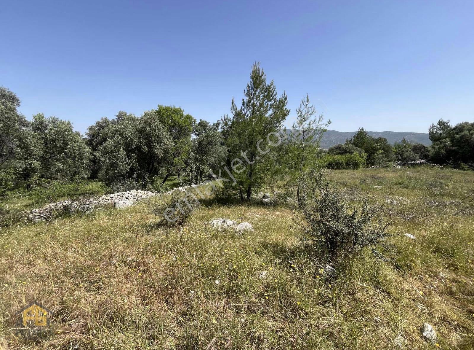 Esenköyde 1435m2 Müstakil Tapulu Satılık Tarla - Görsel 7