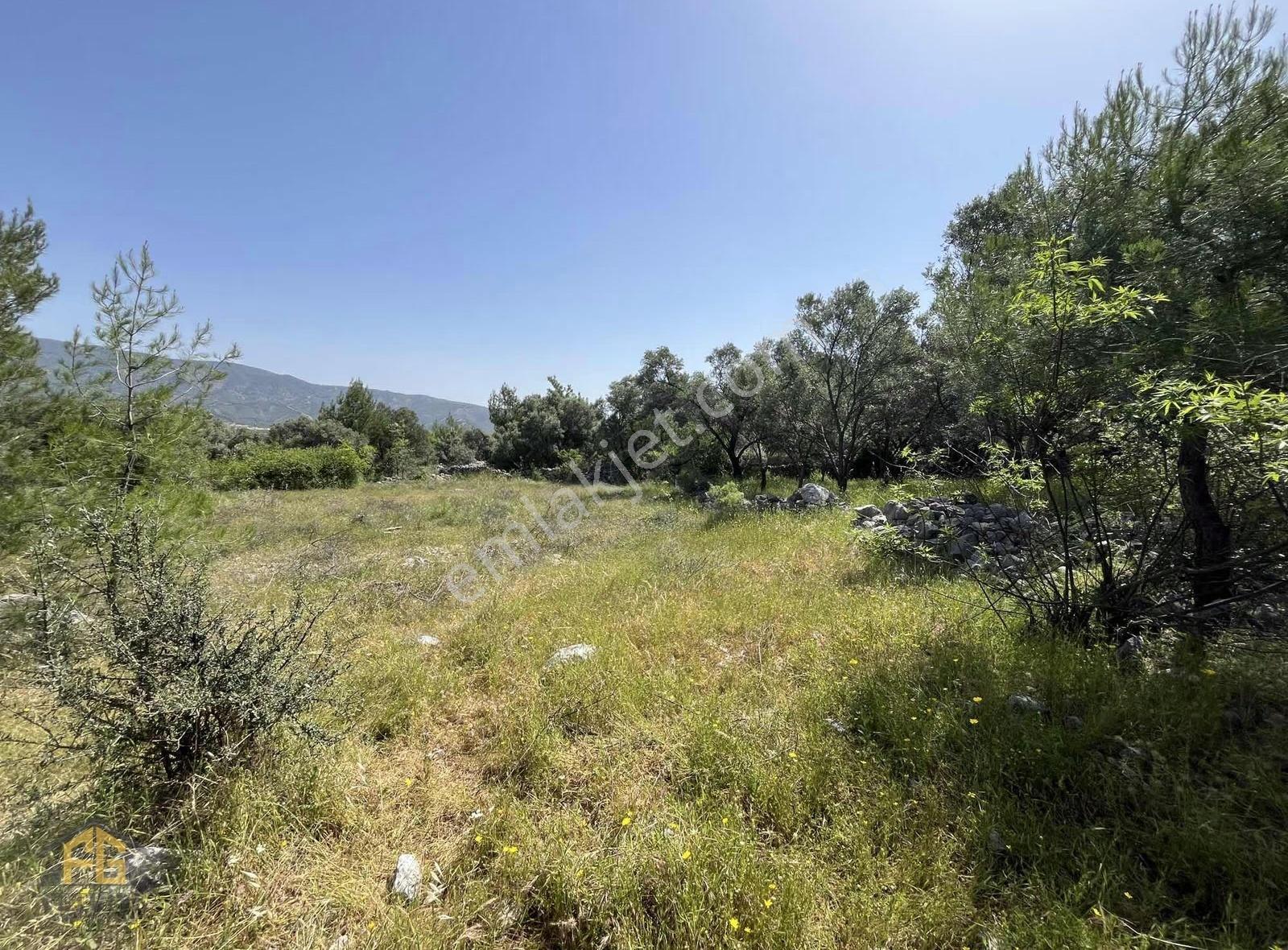 Esenköyde 1435m2 Müstakil Tapulu Satılık Tarla - Görsel 8