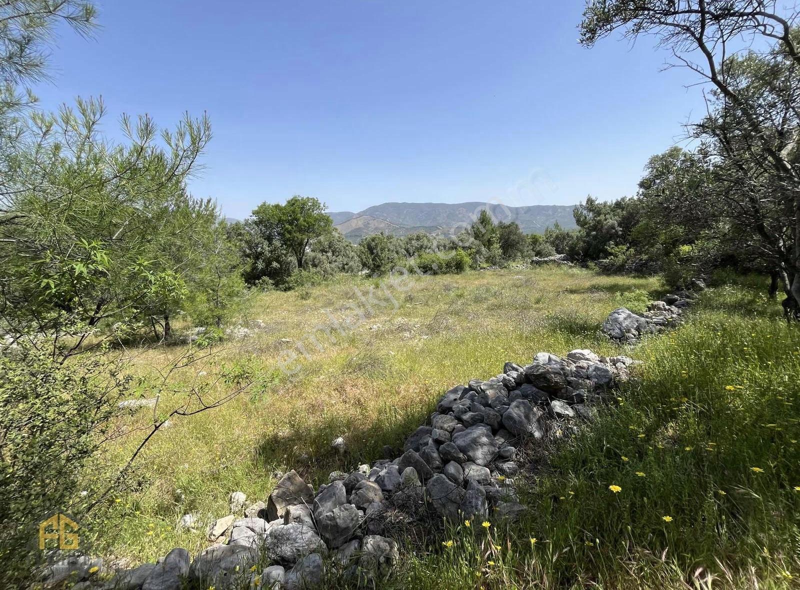 Esenköyde 1435m2 Müstakil Tapulu Satılık Tarla