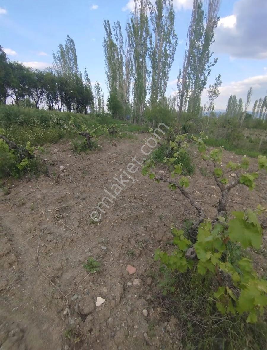Karakent Köyümde Göl Manzaralı Satılık Bağ - Görsel 6