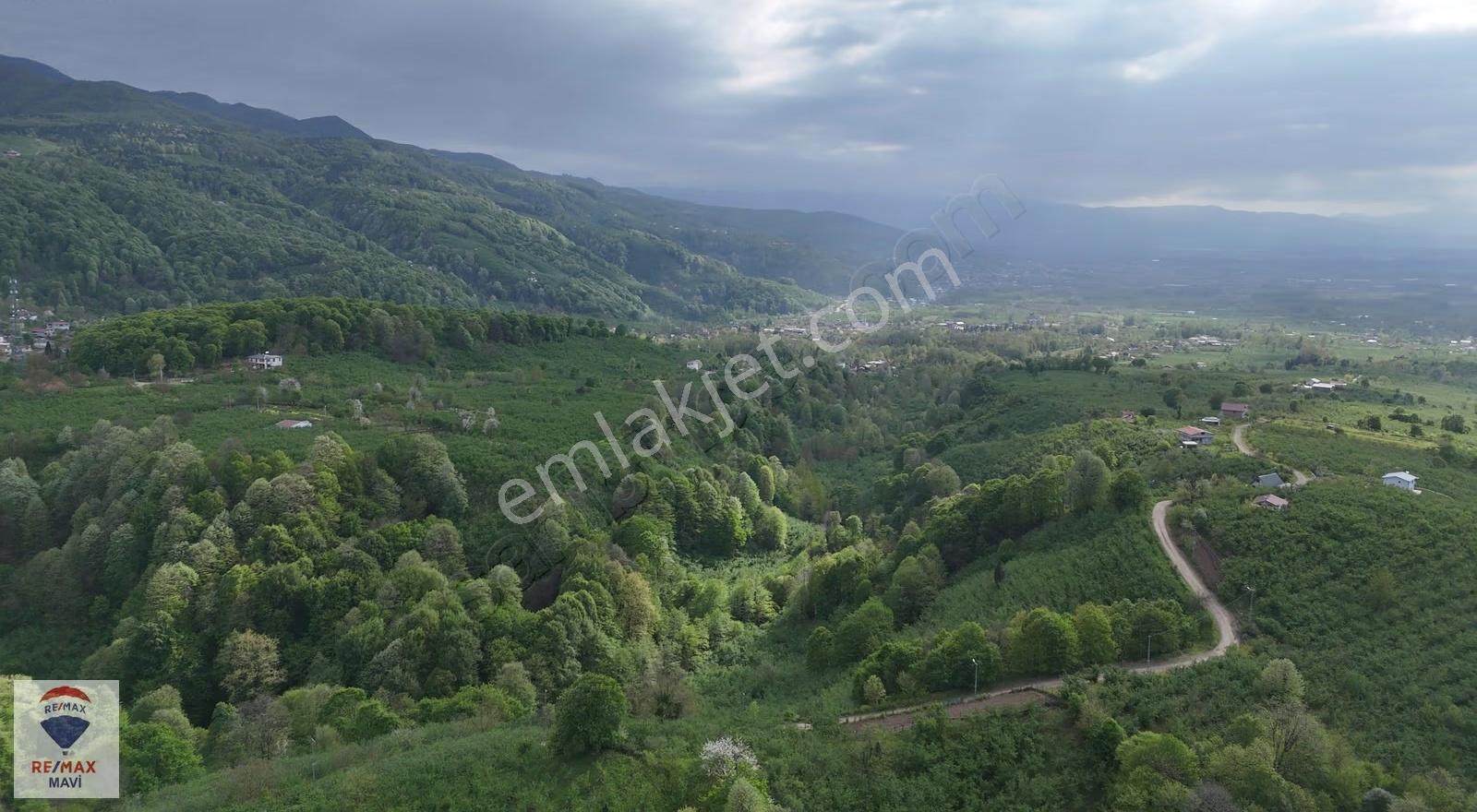 Hendek Çamlıcada Yerleşime Yakın | 12.350 M² Satılık Tarla - Görsel 3
