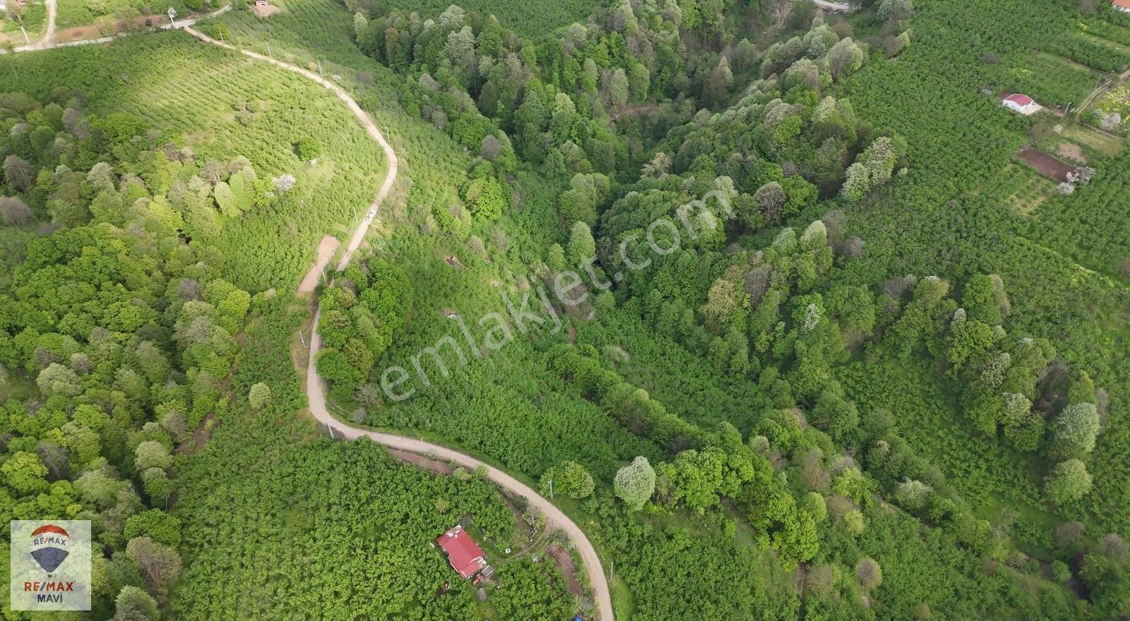 Hendek Çamlıcada Yerleşime Yakın | 12.350 M² Satılık Tarla - Görsel 4