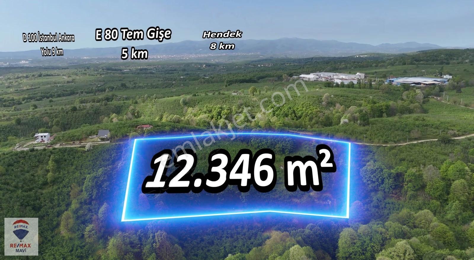 Hendek Çamlıcada Yerleşime Yakın | 12.350 M² Satılık Tarla - Görsel 8