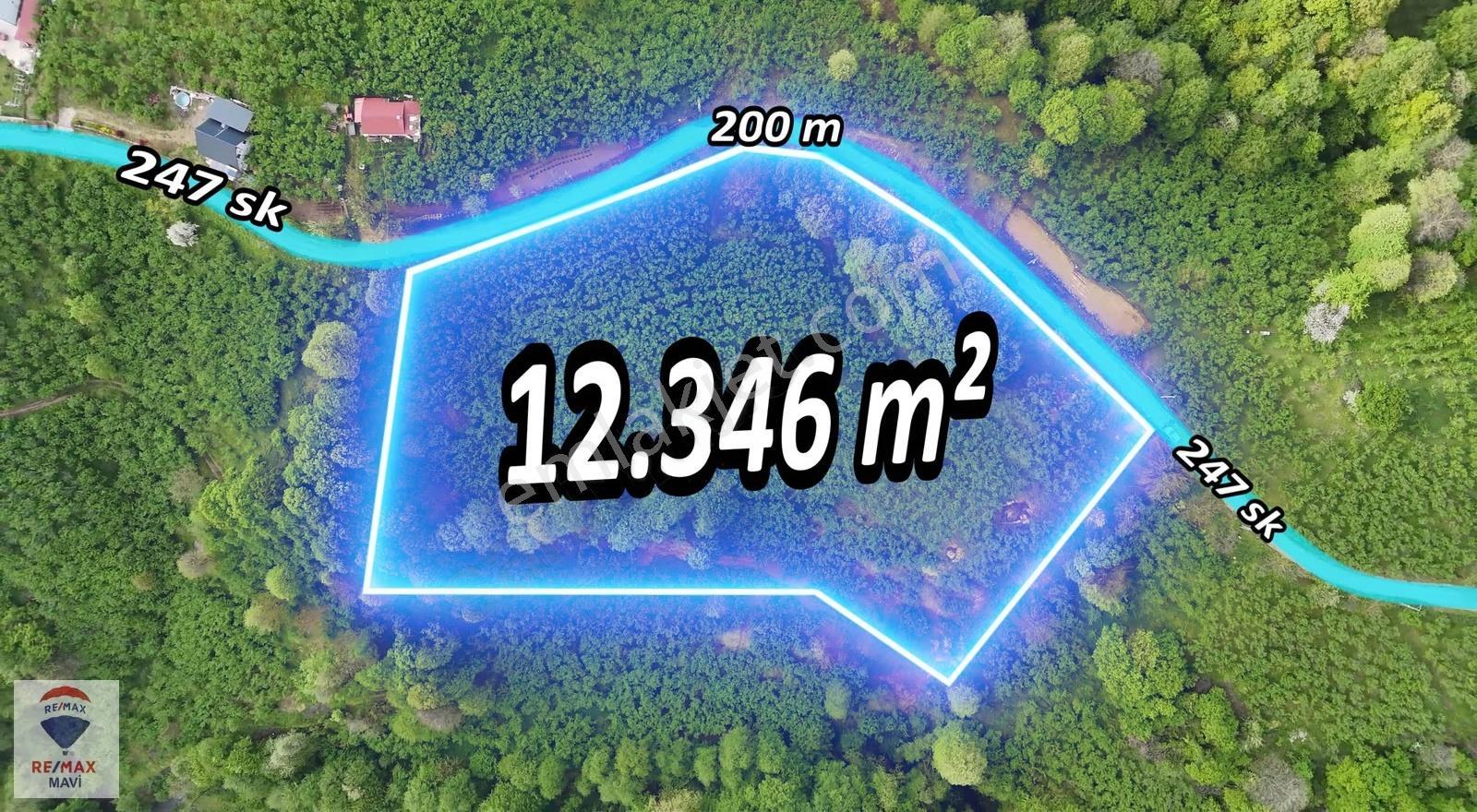 Hendek Çamlıcada Yerleşime Yakın | 12.350 M² Satılık Tarla - Görsel 14