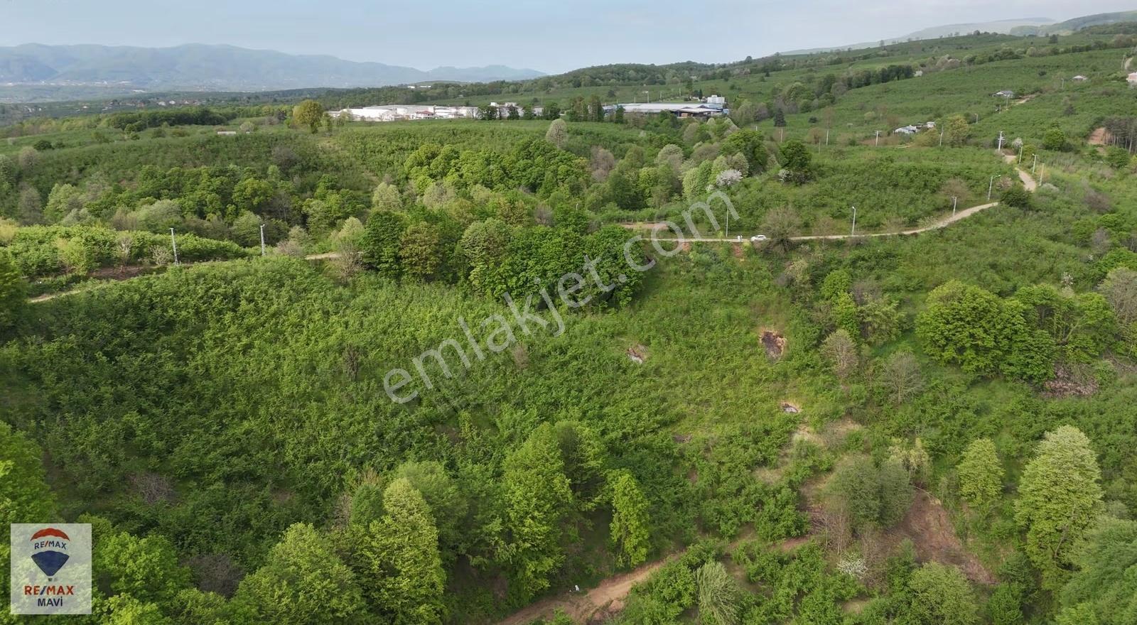 Hendek Çamlıcada Yerleşime Yakın | 12.350 M² Satılık Tarla - Görsel 11
