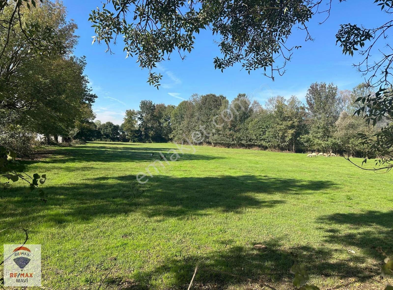 Akarcada 13430 M² Konut İmarlı Satılık Arsa - Görsel 12