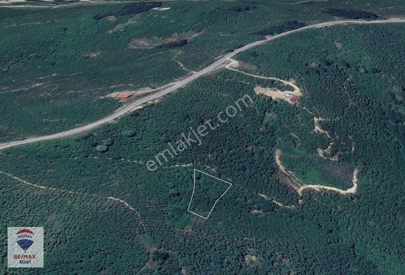 Kocaali Kozluk Mh Resmi Yola Cepheli 1.876m2 Fındık Bahçesi - Görsel 10