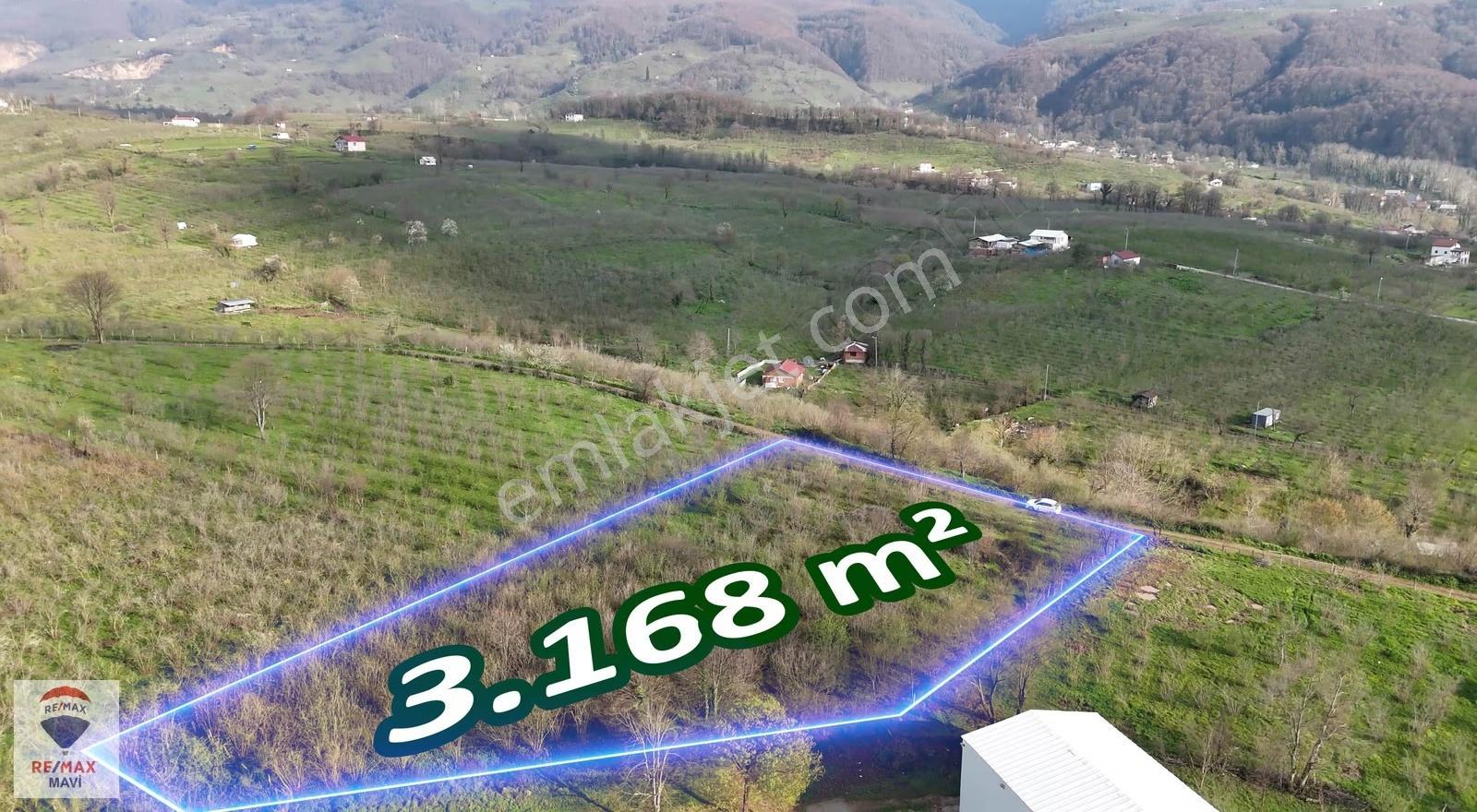 Hendek Y.çarığıkuruda 32 M Yol Cepheli, Elektrik-su Altyapılı - Görsel 14