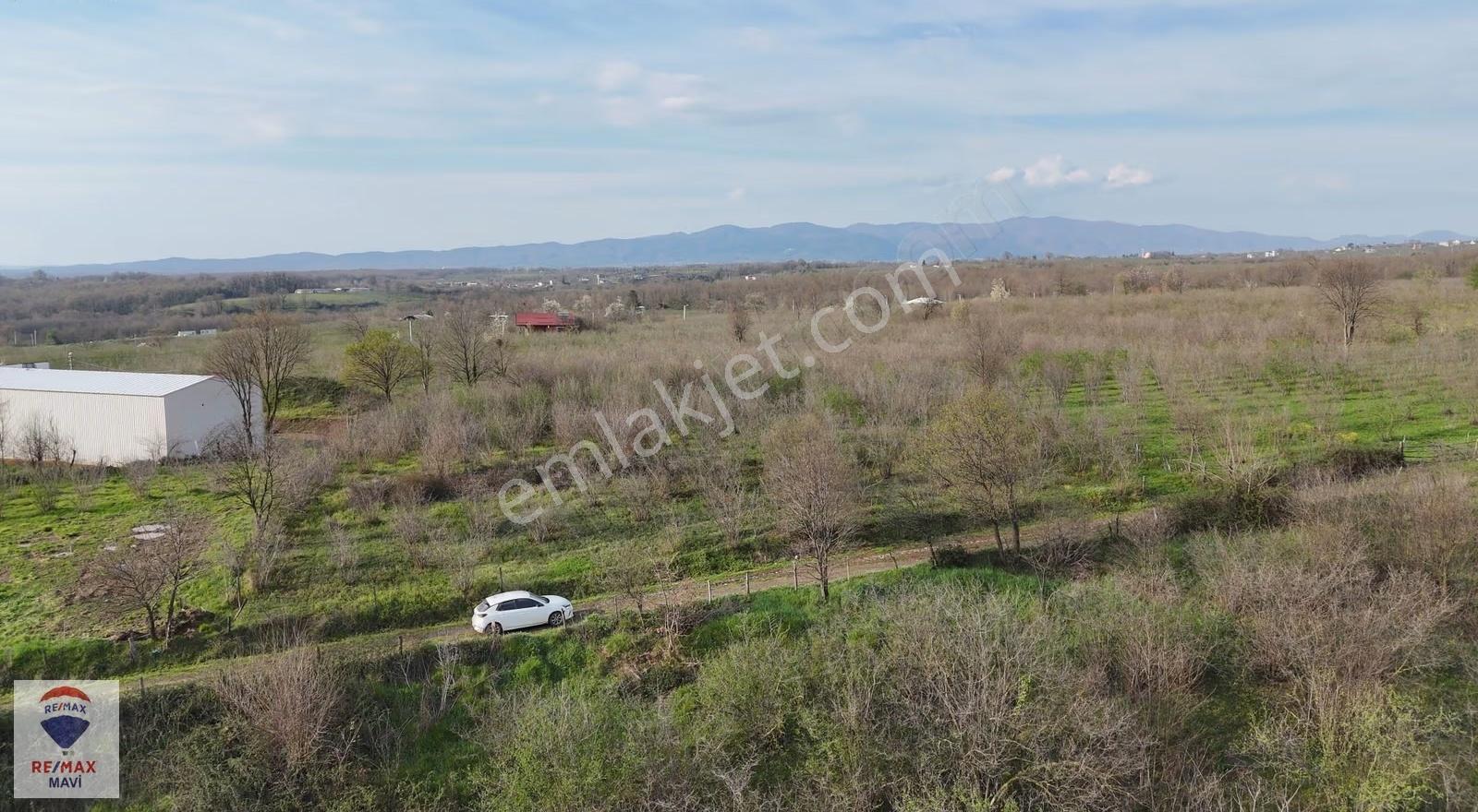 Hendek Y.çarığıkuruda 32 M Yol Cepheli, Elektrik-su Altyapılı