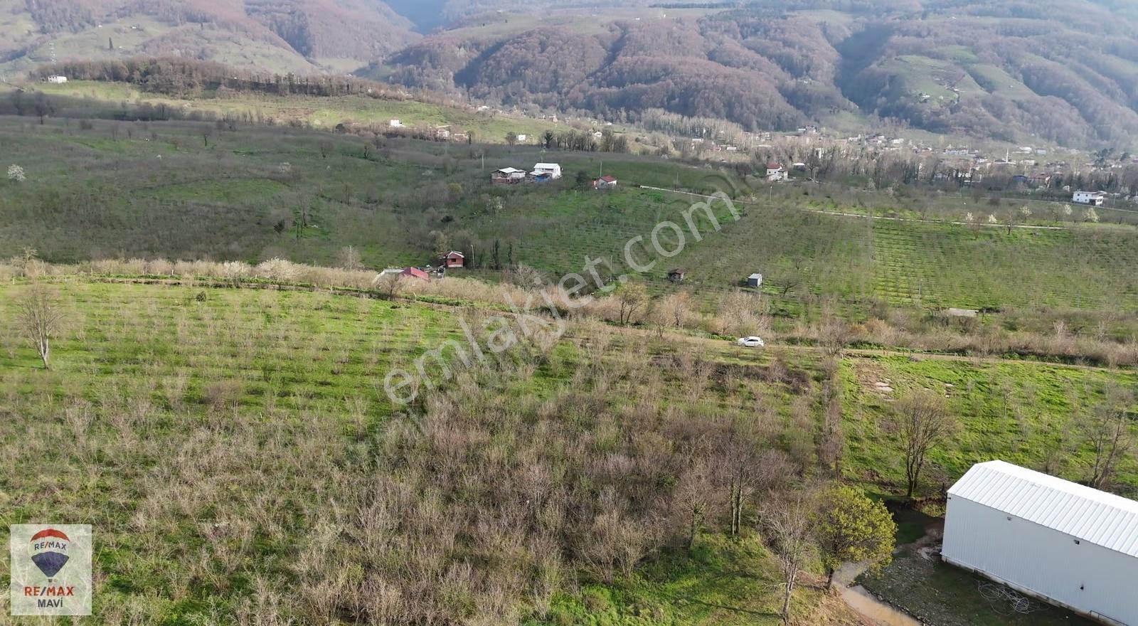 Hendek Y.çarığıkuruda 32 M Yol Cepheli, Elektrik-su Altyapılı - Görsel 4