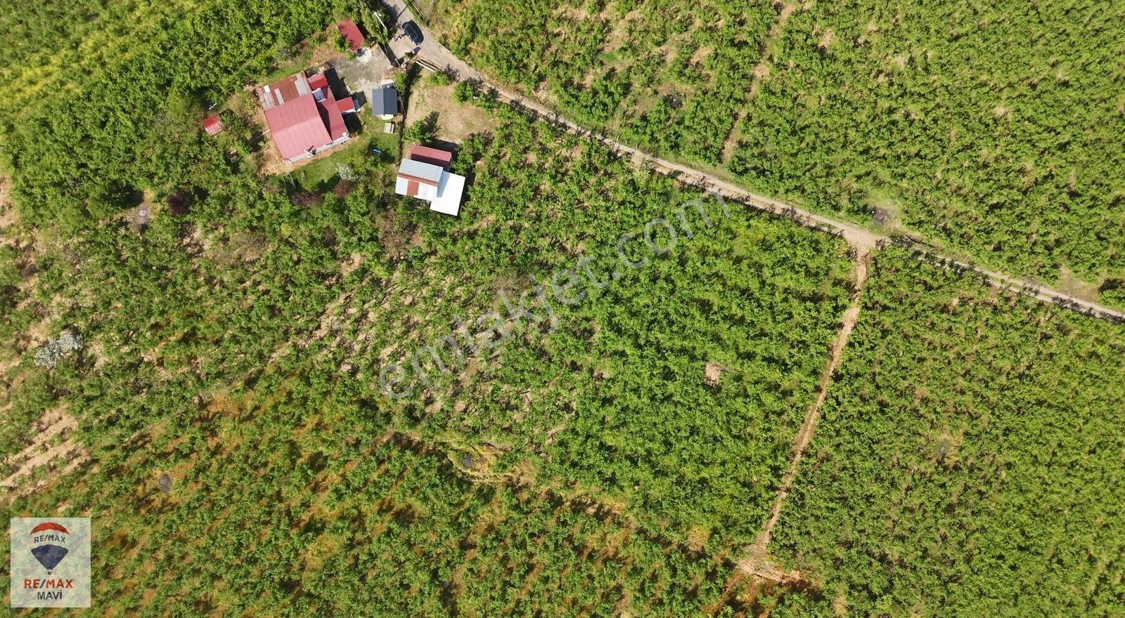 Kazimiye De 5242 M² Arazi + 80 M² Satılık Müstakil Ev - Görsel 18