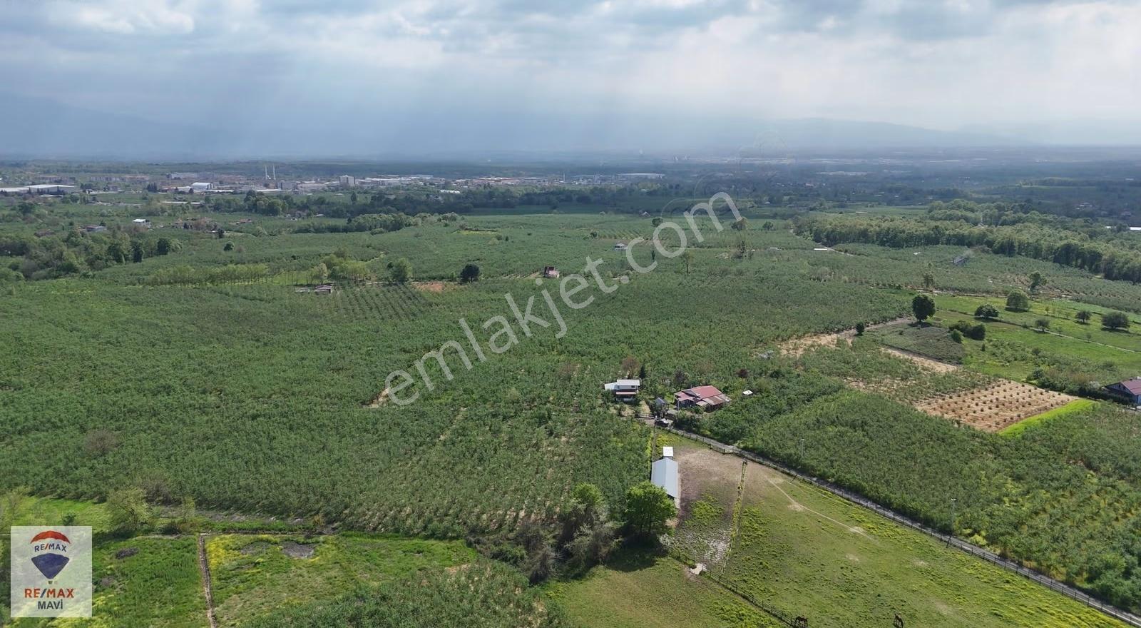 Kazimiye De 5242 M² Arazi + 80 M² Satılık Müstakil Ev - Görsel 13