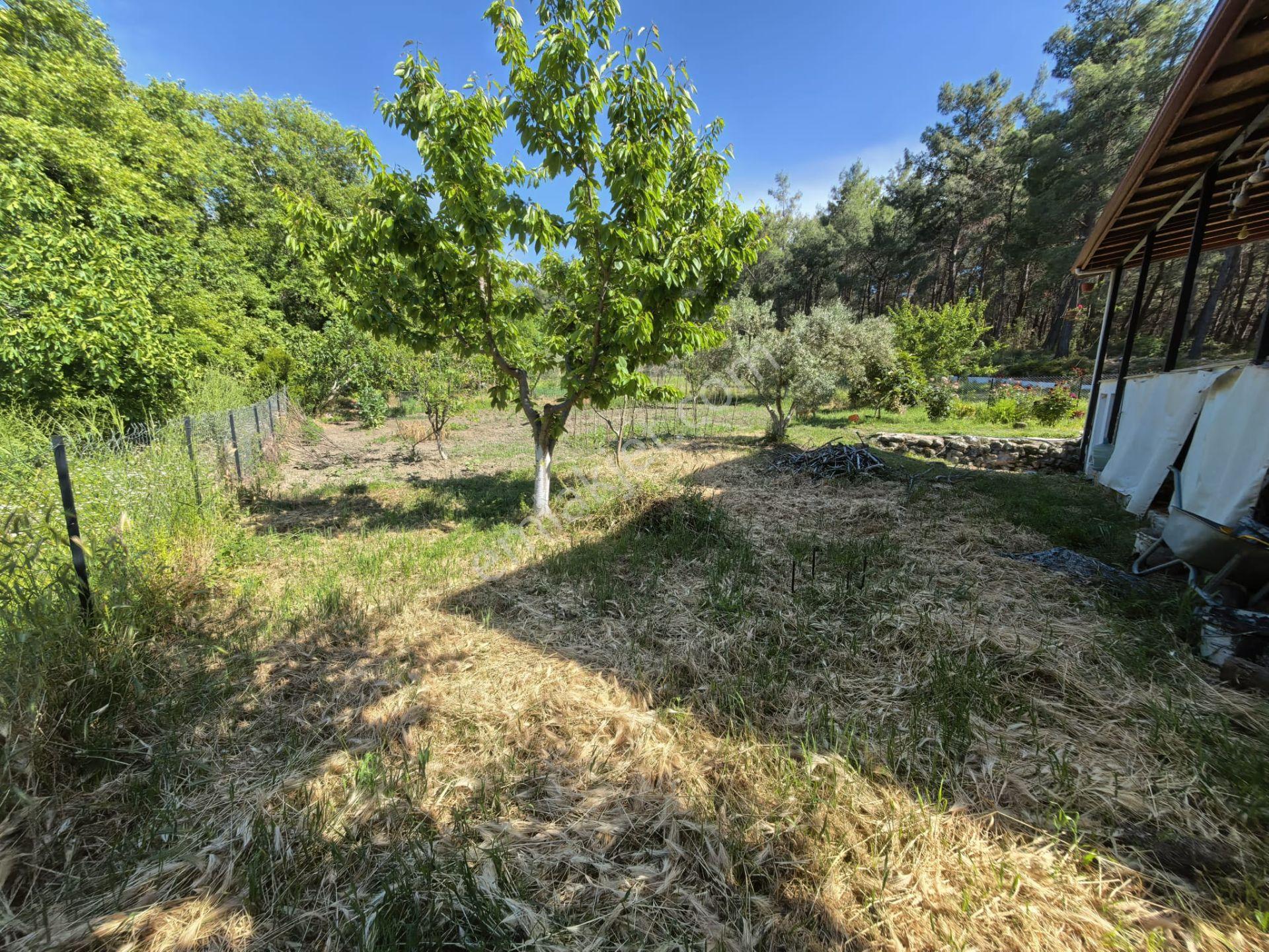 Stop'tan Seydikemer Yaka'da 1950 M² Çiftlik Mülkü 5+1 Villa - Görsel 3