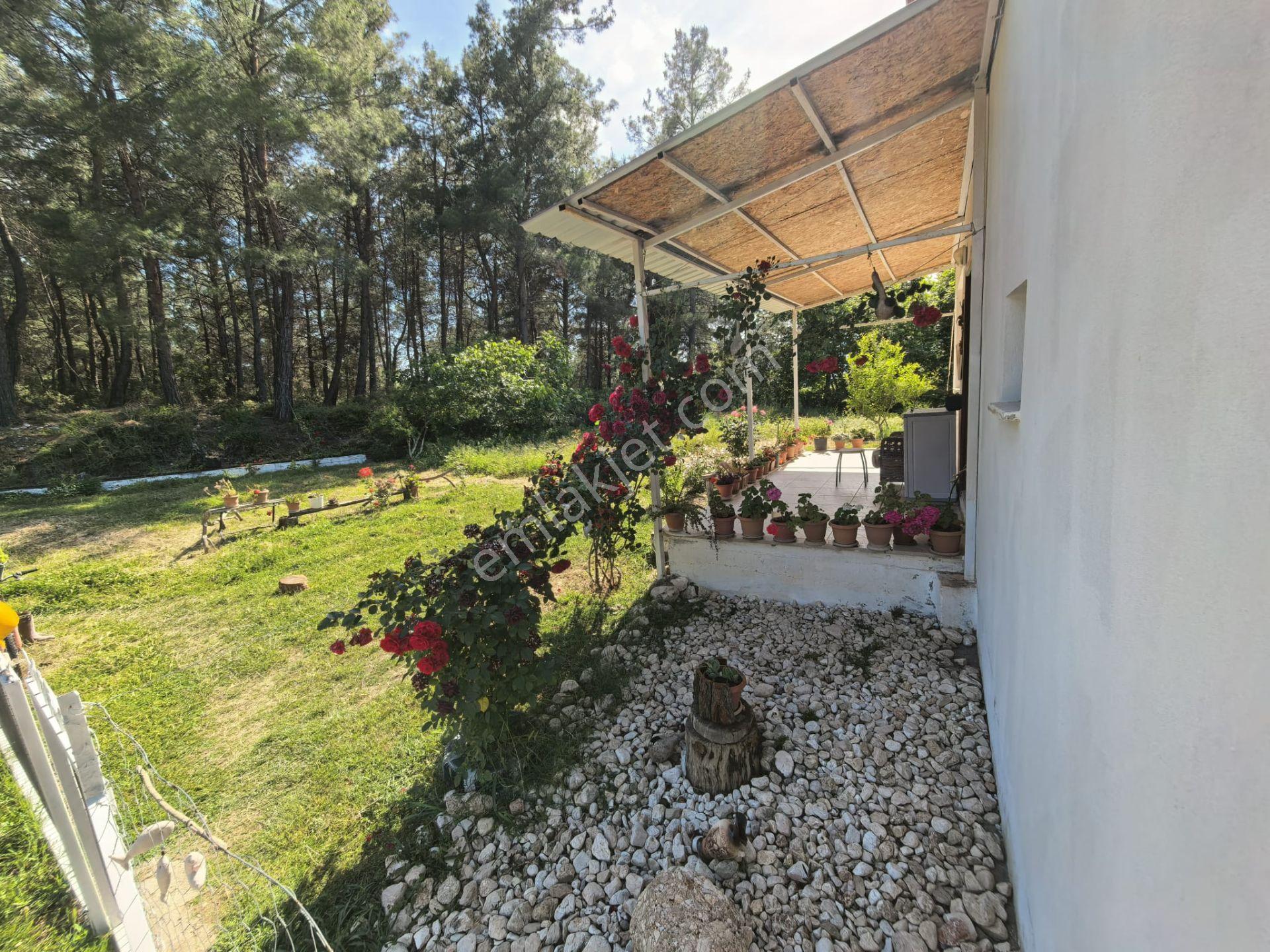 Stop'tan Seydikemer Yaka'da 1950 M² Çiftlik Mülkü 5+1 Villa - Görsel 9