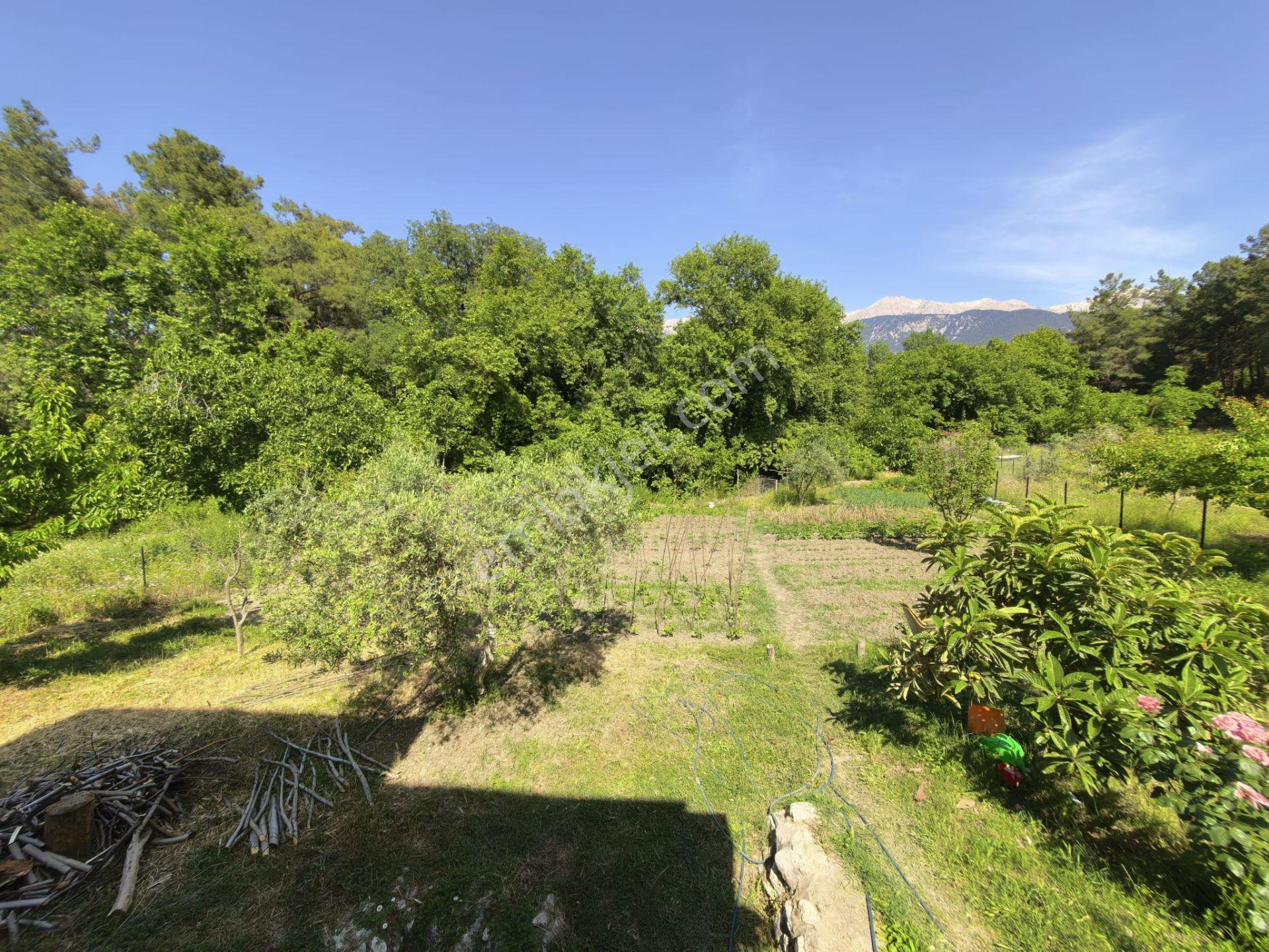 Stop'tan Seydikemer Yaka'da 1950 M² Çiftlik Mülkü 5+1 Villa - Görsel 11