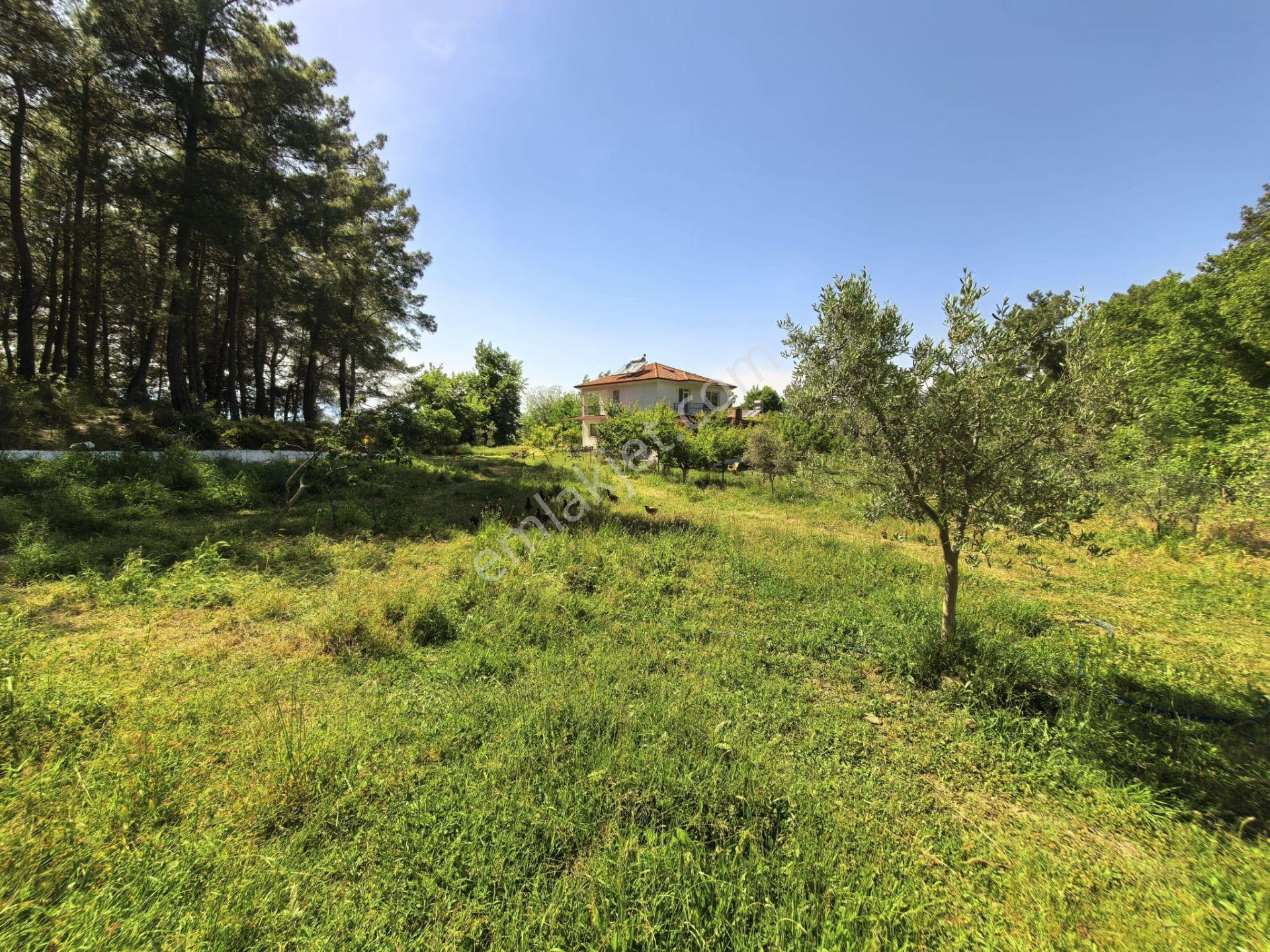 Stop'tan Seydikemer Yaka'da 1950 M² Çiftlik Mülkü 5+1 Villa - Görsel 13