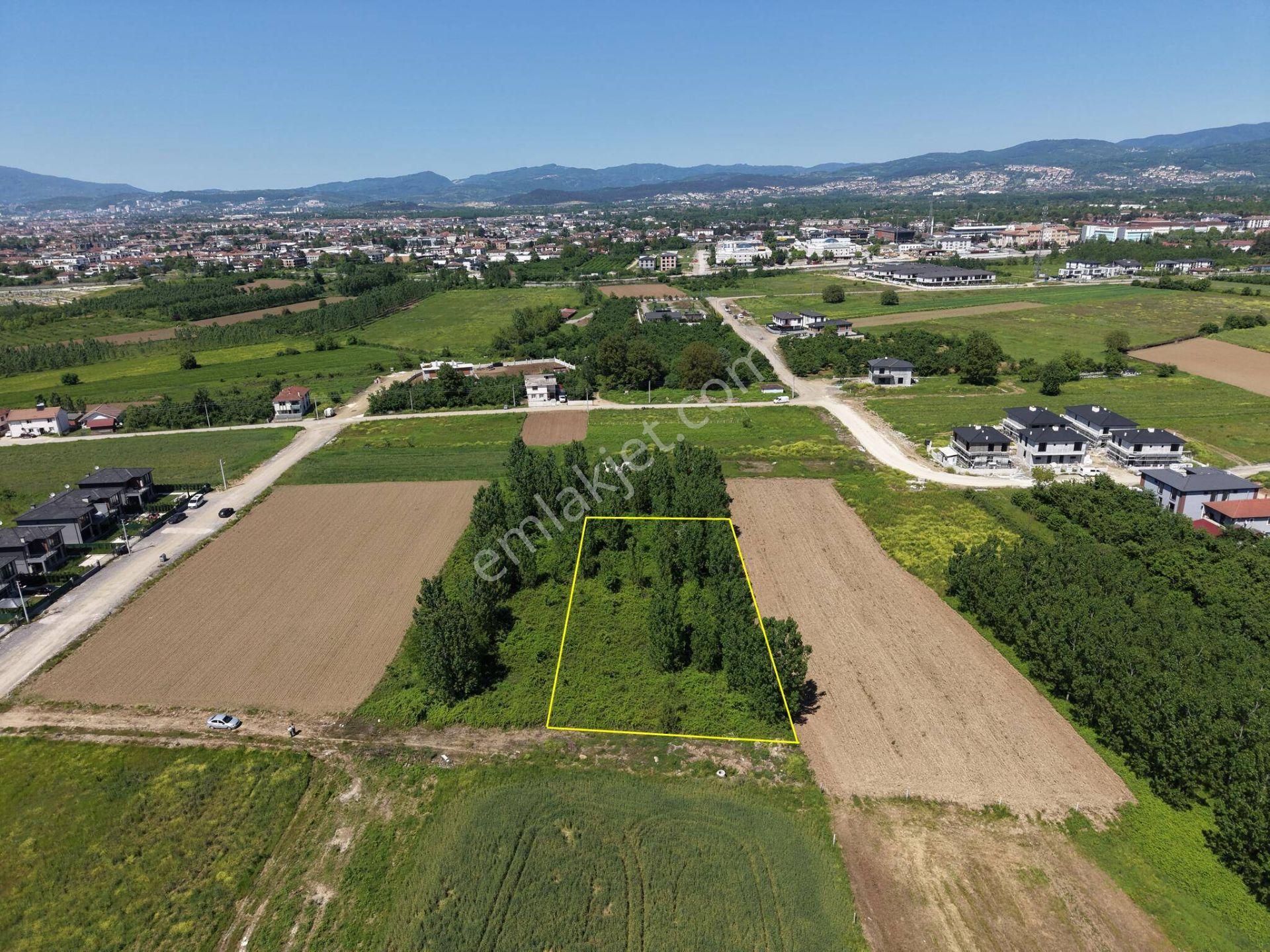 Darıcı Mahallesi’nde 2028 M² Satılık İmarlı Arsa - Görsel 5