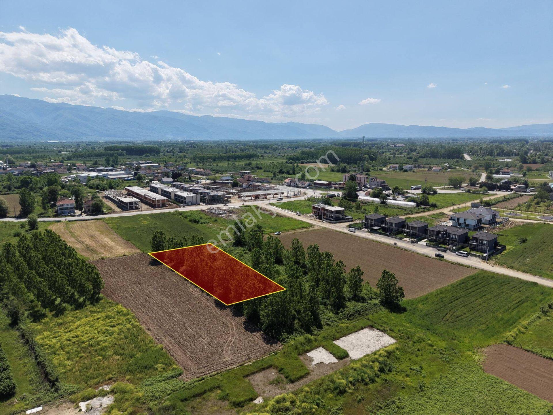 Darıcı Mahallesi’nde 2028 M² Satılık İmarlı Arsa