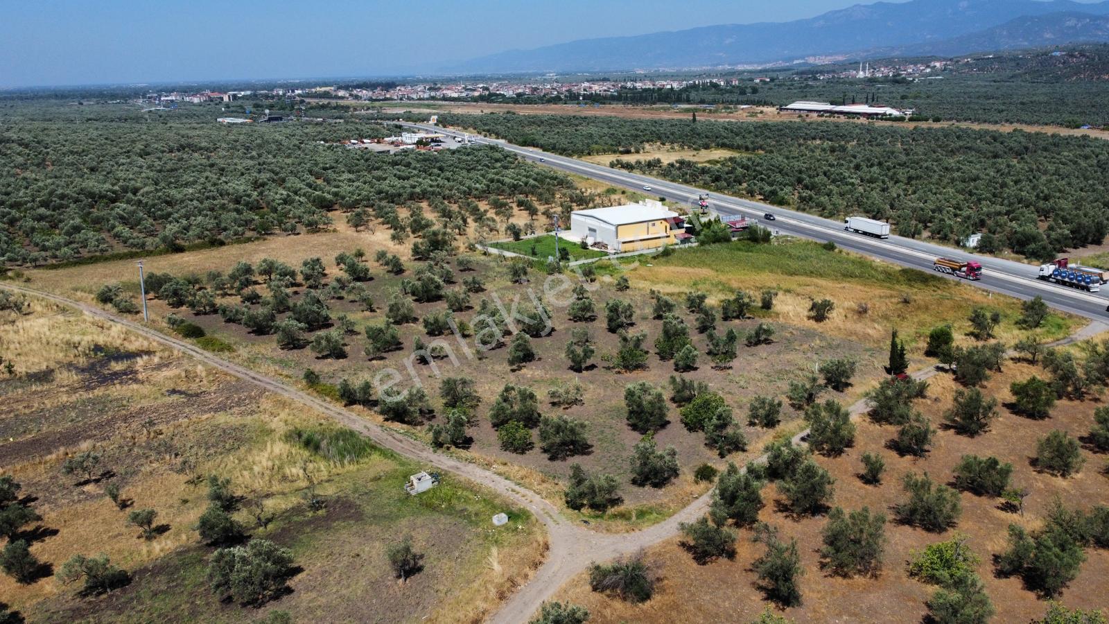 ▀mera Emlaktan Mescit'de Ana Asfalta 2. Parsel 9.960m2 Zeytinlik - Görsel 16