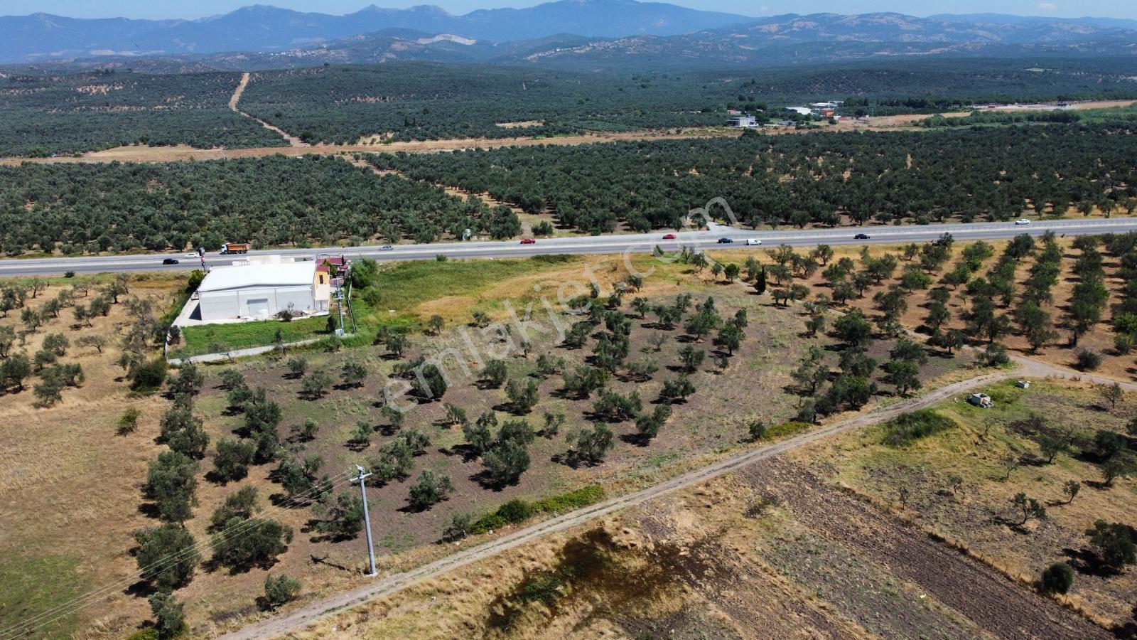 ▀mera Emlaktan Mescit'de Ana Asfalta 2. Parsel 9.960m2 Zeytinlik - Görsel 15