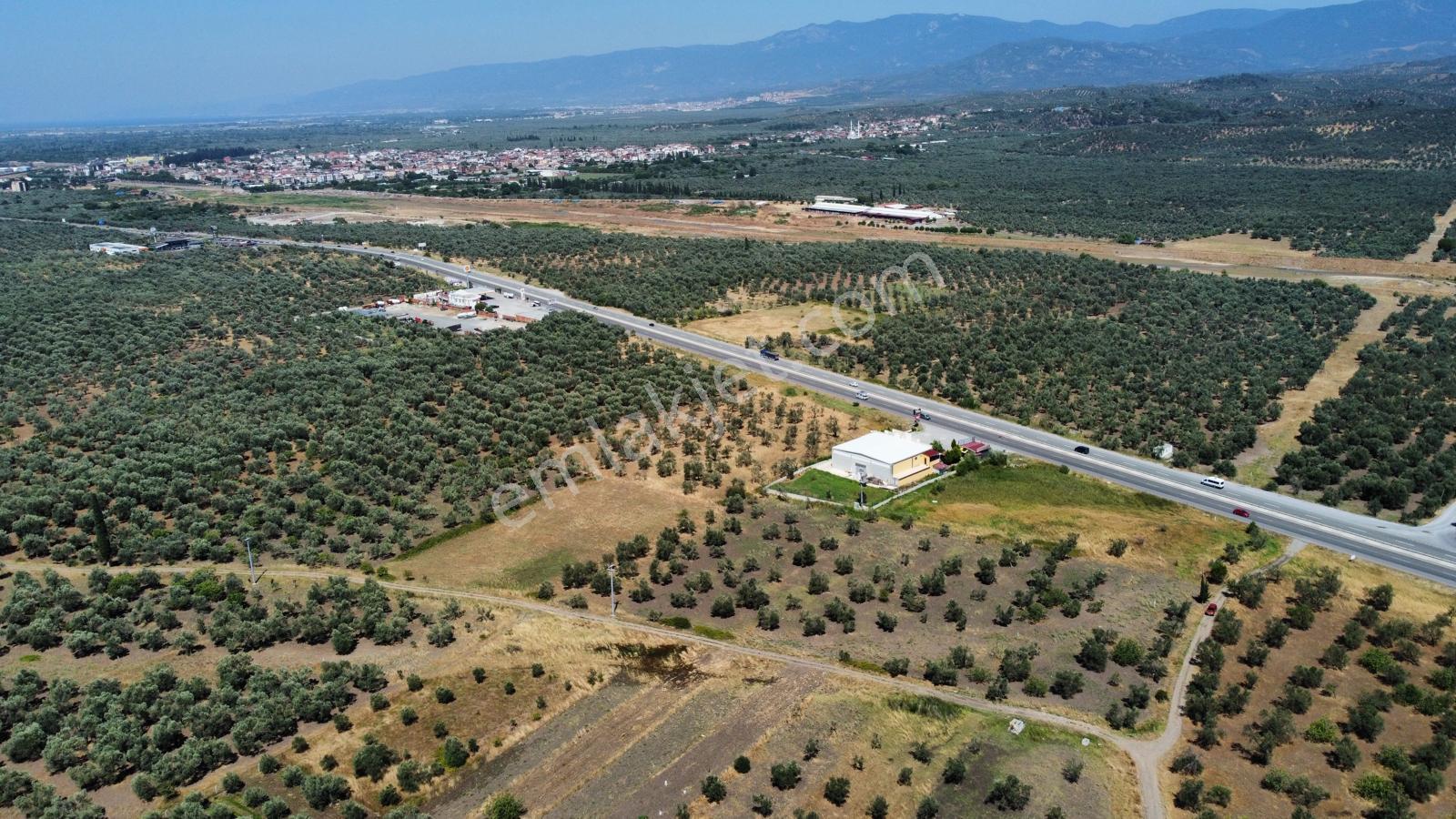 ▀mera Emlaktan Mescit'de Ana Asfalta 2. Parsel 9.960m2 Zeytinlik - Görsel 8