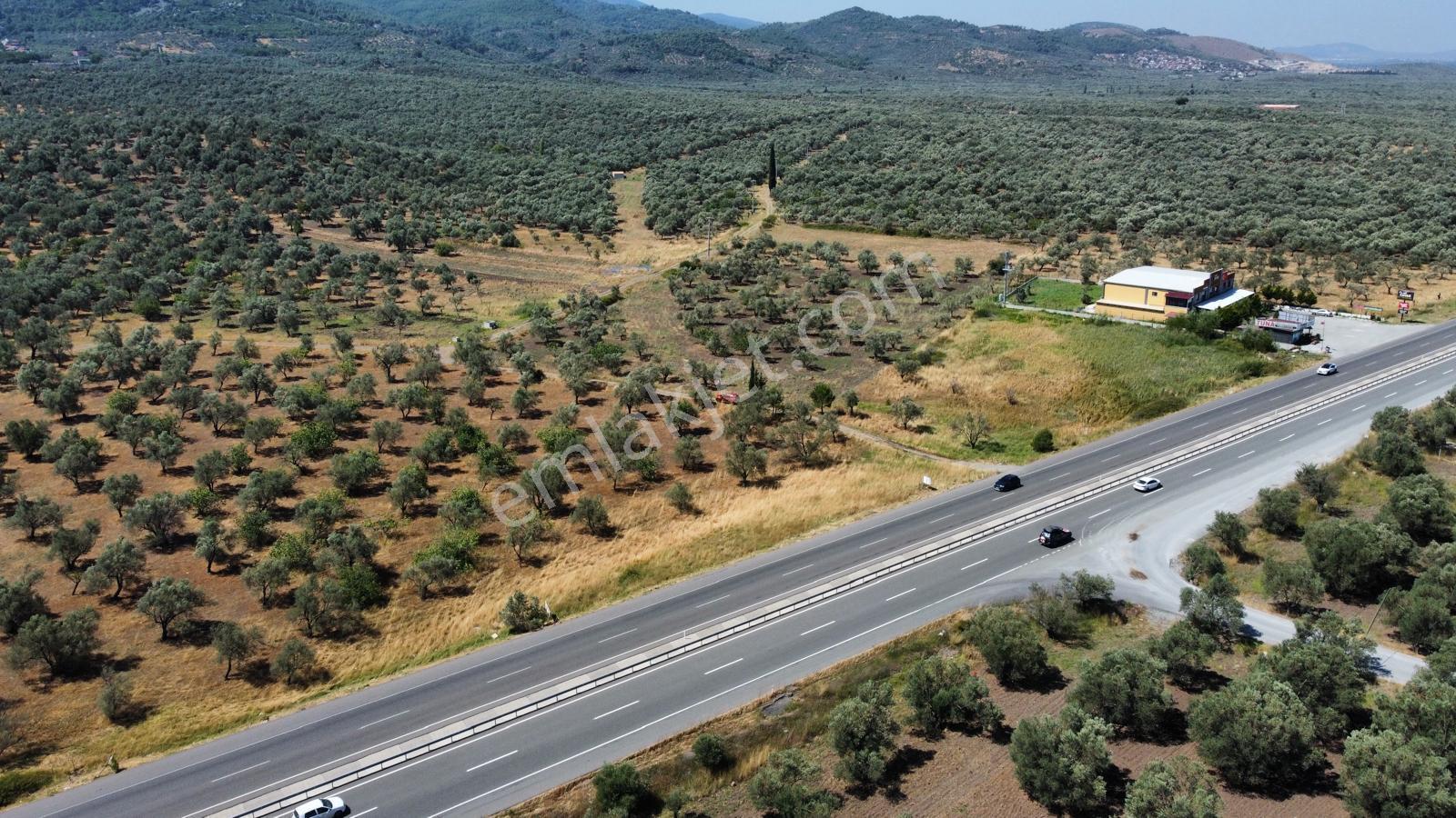 ▀mera Emlaktan Mescit'de Ana Asfalta 2. Parsel 9.960m2 Zeytinlik - Görsel 5