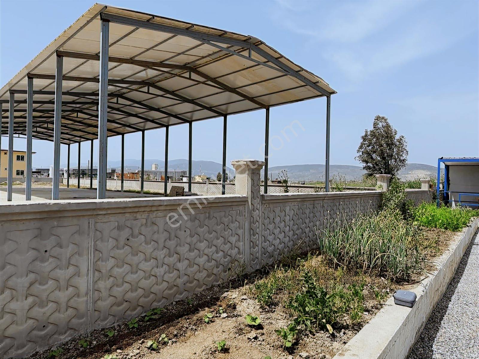 Muğla Milas Ekinambarı Mah. Havalimanı Yanı Konteynırlı Bahçe !! - Görsel 14