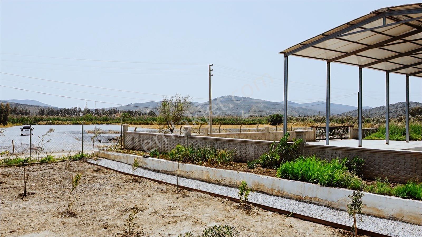 Muğla Milas Ekinambarı Mah. Havalimanı Yanı Konteynırlı Bahçe !! - Görsel 11