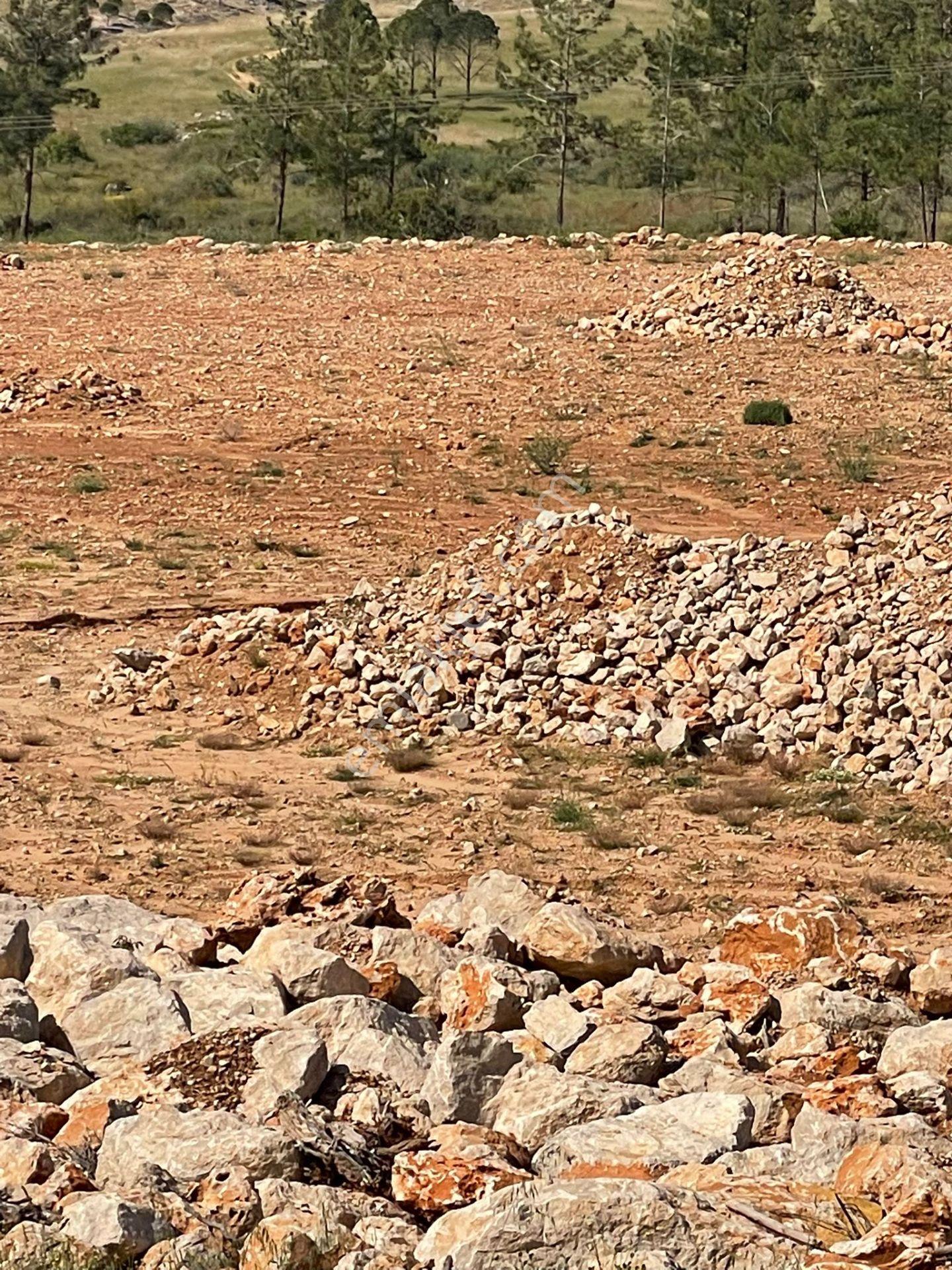 Anchor Gayrimenkul'den Mersin Aydıncık Karaseki Mahallesi'nde Satılık 54.414 M² Tek Tapu Tarla - Görsel 17