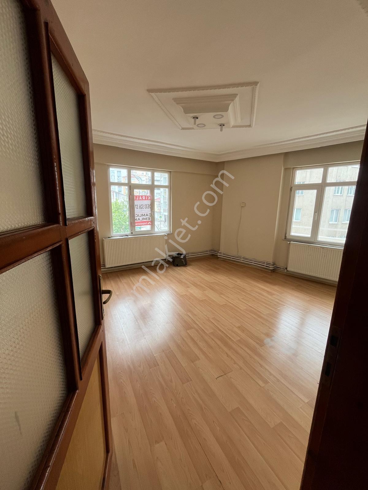 Çamlıcadan Şehir Merkezinde Cadde Üzerinde - Görsel 5