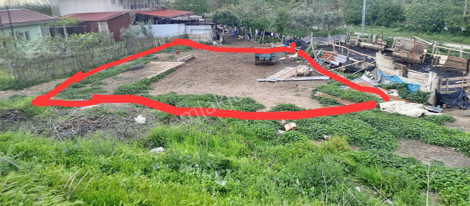 Dağ Manzarası Bulunan Köy Yoluna Sıfır, İmara Açık Arsa.