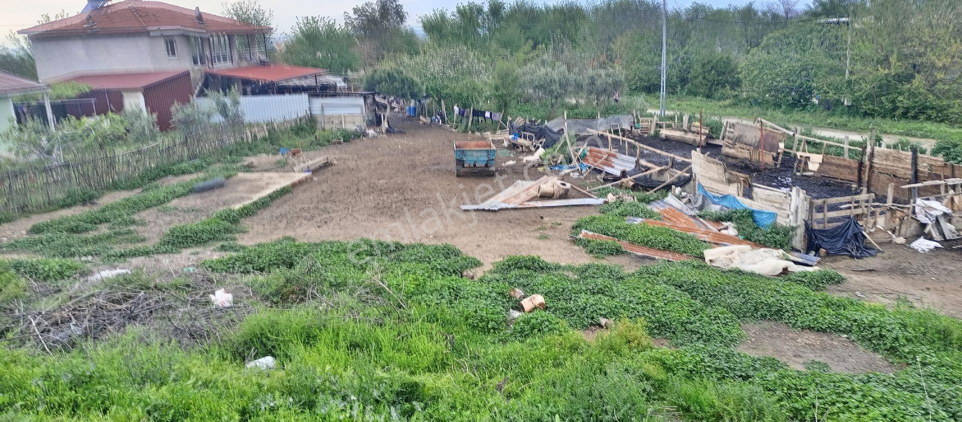 Dağ Manzarası Bulunan Köy Yoluna Sıfır, İmara Açık Arsa. - Görsel 4