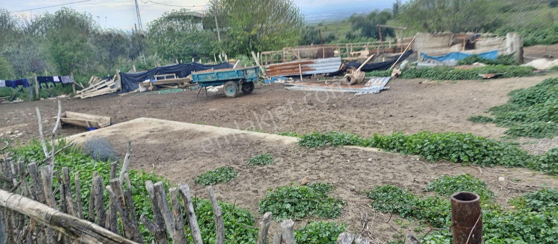 Dağ Manzarası Bulunan Köy Yoluna Sıfır, İmara Açık Arsa. - Görsel 5